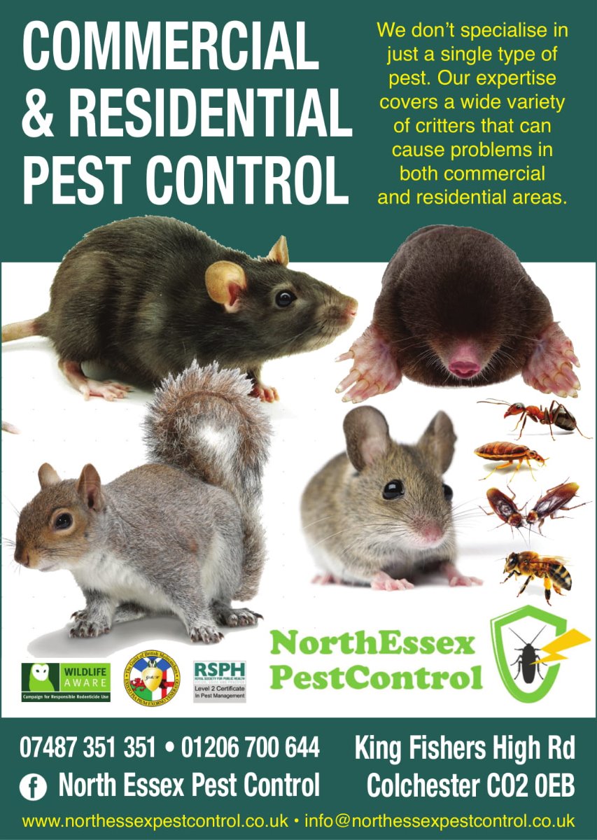 Pest Control Expert: Image 1